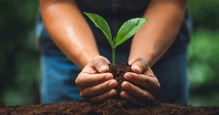 We at Woleco are committed to envisioning a sustainable Earth by 2050.