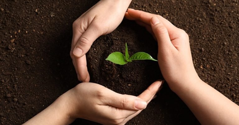 Sustainability: A Comprehensive Overview